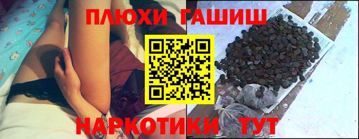 ГАШ Premium Кудымкар