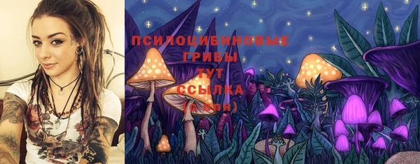 индика Покровск