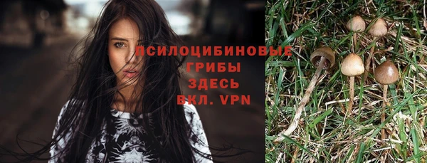 COCAINE Покачи