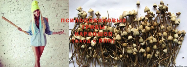 мескалин Абинск