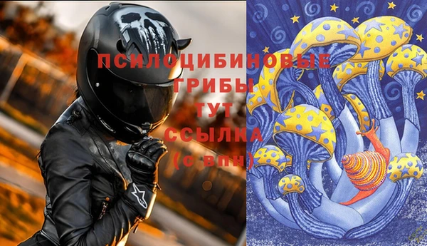 COCAINE Покачи