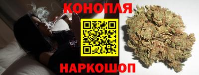 крисы Краснознаменск