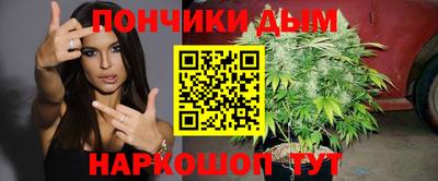 крисы Краснознаменск