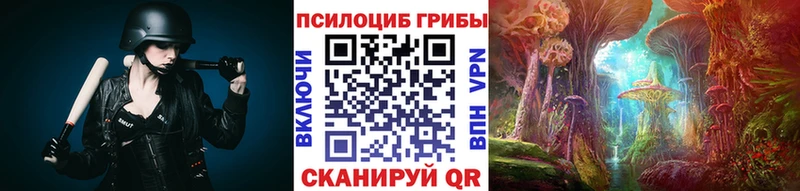 Псилоцибиновые грибы мухоморы  кракен зеркало  Кудымкар  купить наркоту 