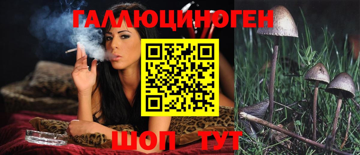Галлюциногенные грибы MAGIC MUSHROOMS  Вход с VPN  Кудымкар  Галлюциногенные грибы ЛСД 